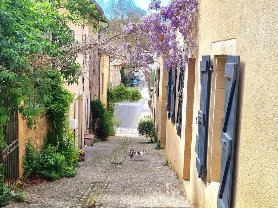 Romantique Room St Michel De Lanes Saint-Michel-de-Lanès Exterior foto